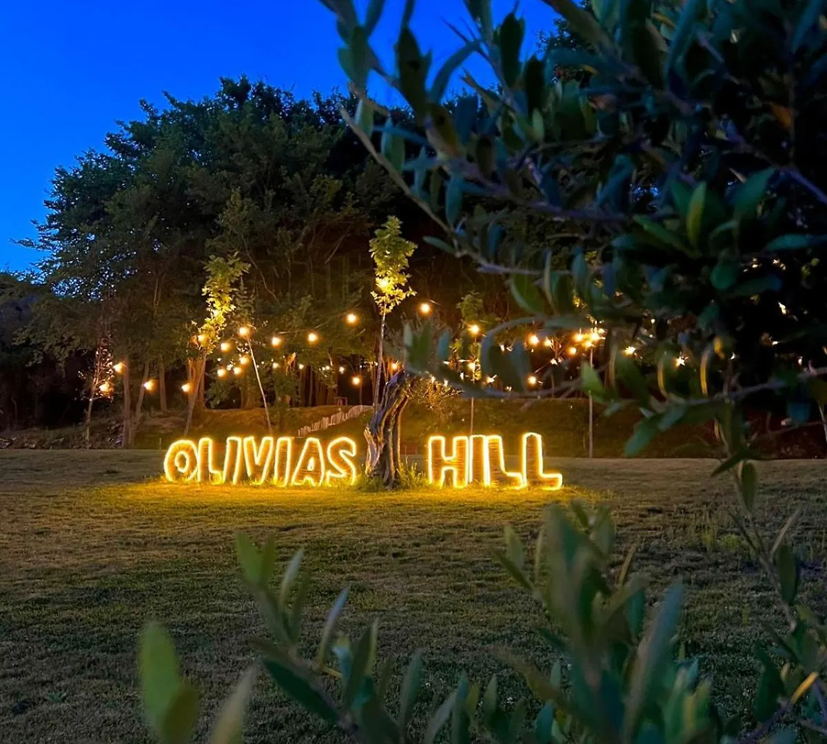 Olivia'S Hill Resort Kryemedhej 4*,